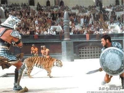 当年的神药,当年见效的药材