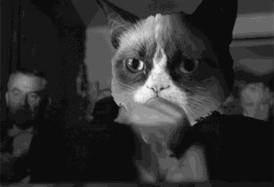 10164元！上海最新平均工资又双叒叕涨了！这次你拖后腿了吗？