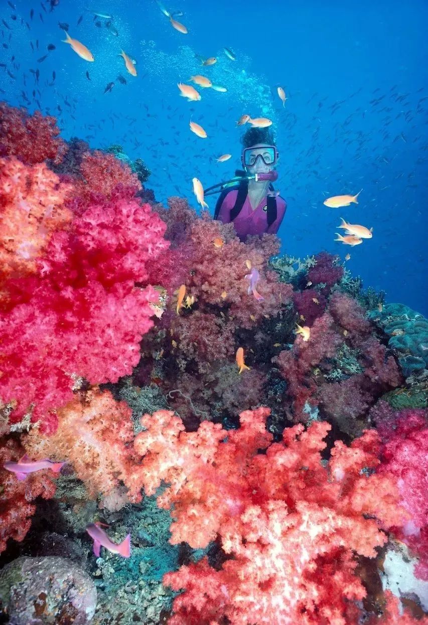 全球最适合蜜月旅行十大海岛,十大海岛度假胜地