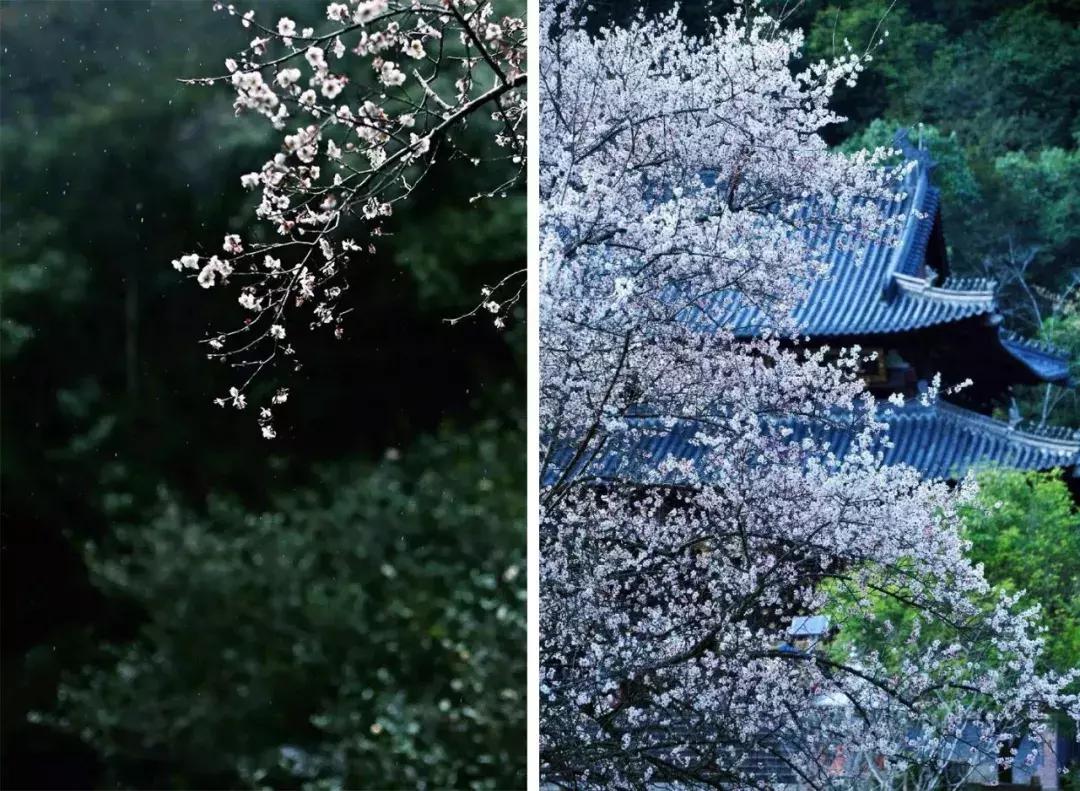 武夷山亲子民宿推荐独栋别墅,武夷山一同山居茶文化民宿