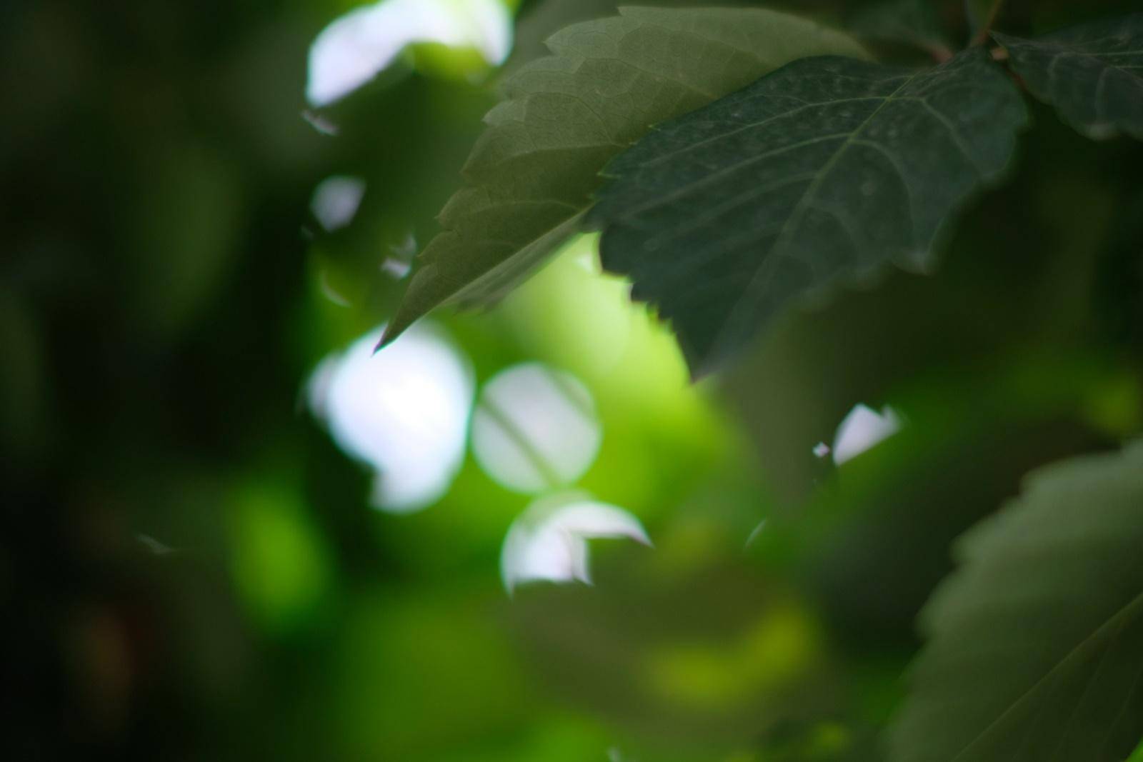 七工匠25mm镜头值不值得买,七工匠35mm1.7镜头值不值得买