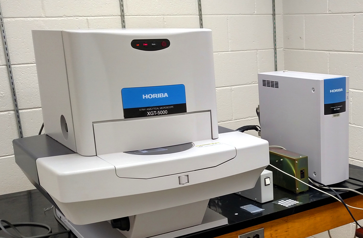 人类首次拍到卵细胞,精子和卵子结合为什么闪光