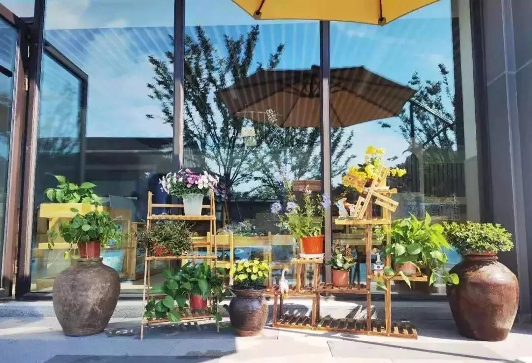 南京市高淳区教育发展前景,高淳区的教育规划