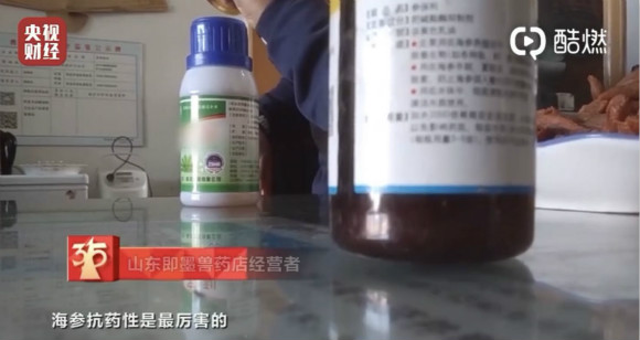 养海参放敌敌畏违法,网传养海参放敌敌畏杀菌是真的吗