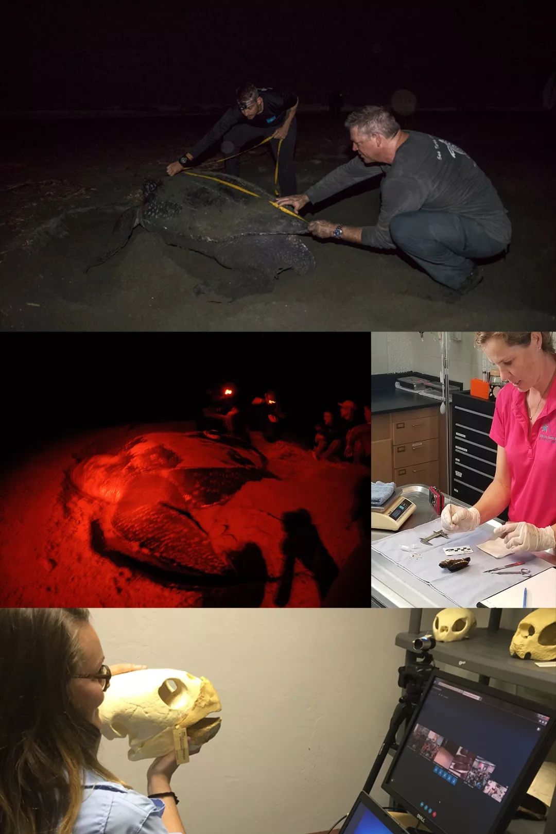 一场生命的冒险,一场关于勇气的冒险