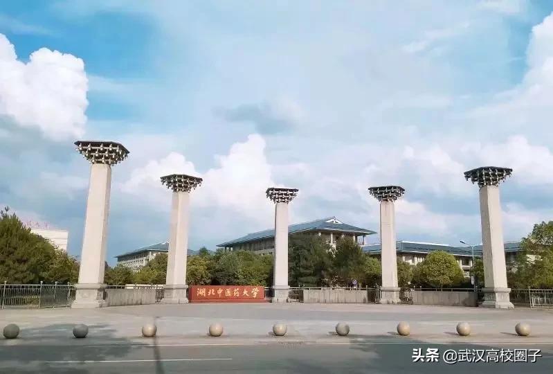 湖北中医药大学，是湖北省唯一一所高等中医药本科院校