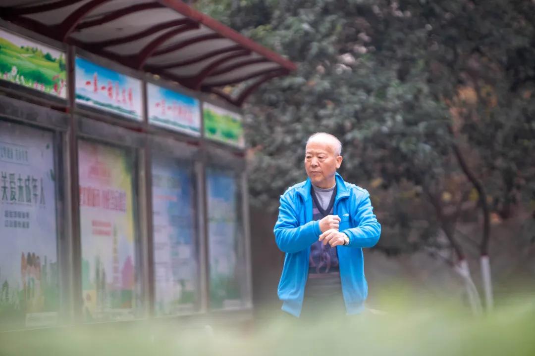 莲湖区晚上哪里可以散步,莲湖晨练