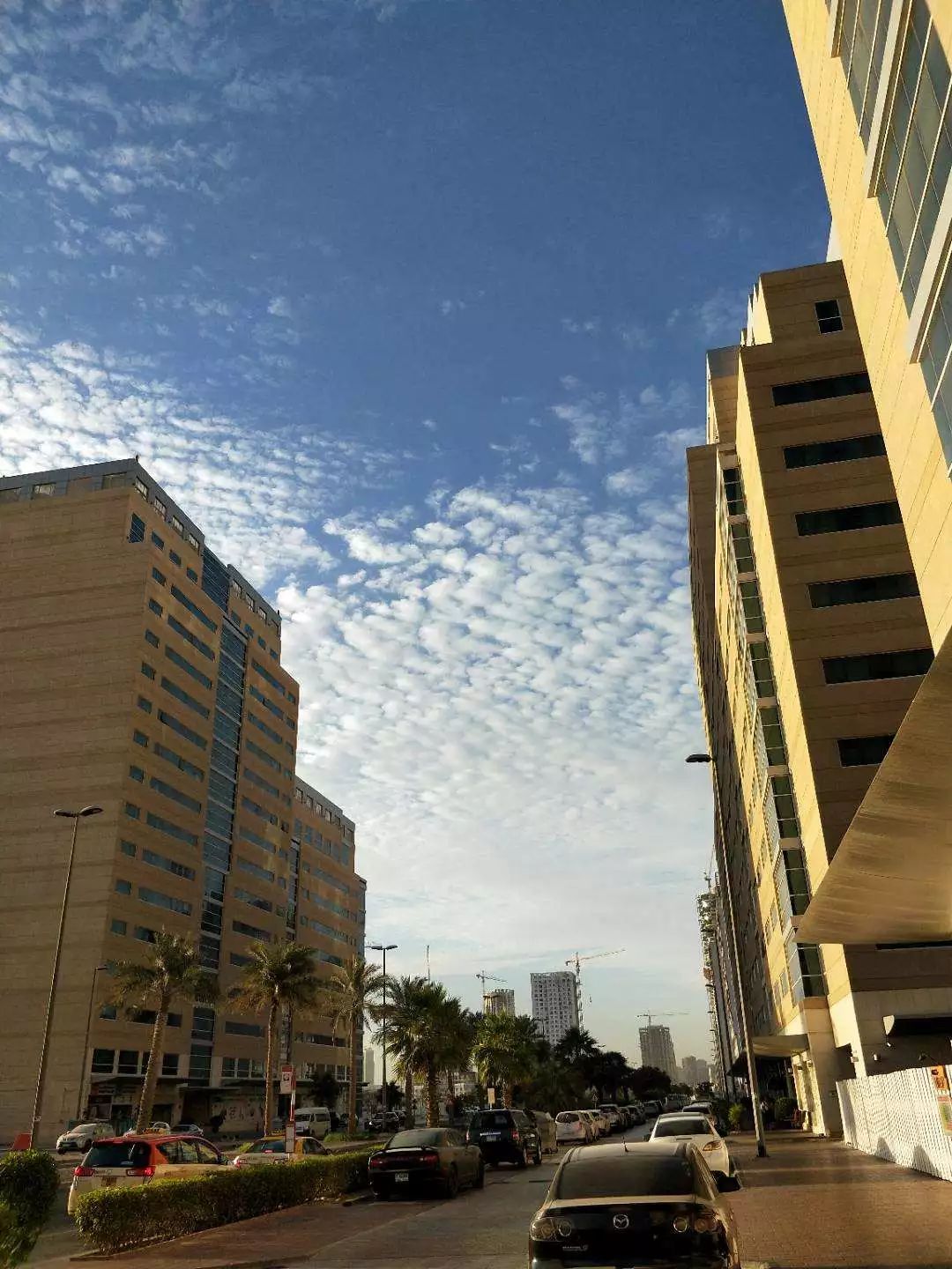 在迪拜工作的坏处,在迪拜都是什么工作