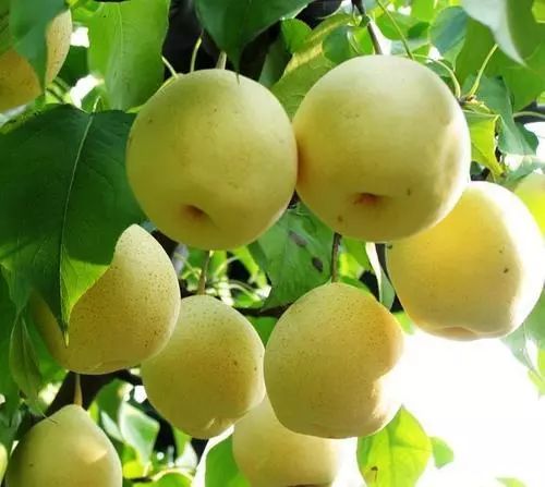 减肥期间怎么快速消肿,减肥时身体浮肿怎么回事