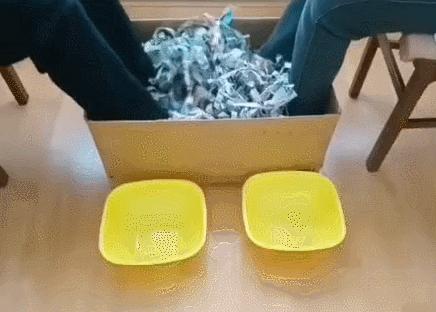 晚饭后和宝宝一起玩,晚饭后与孩子玩