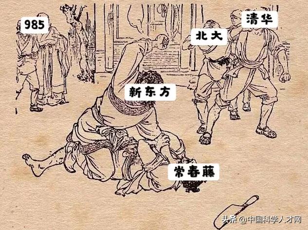 高校内部教师鄙视链,财经类高校内部鄙视链