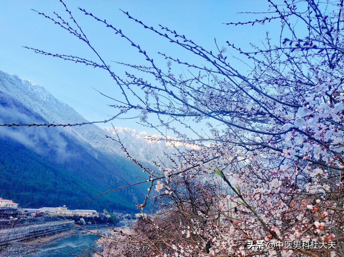 中医说的心脾两虚是什么意思,心脾两虚恢复症状