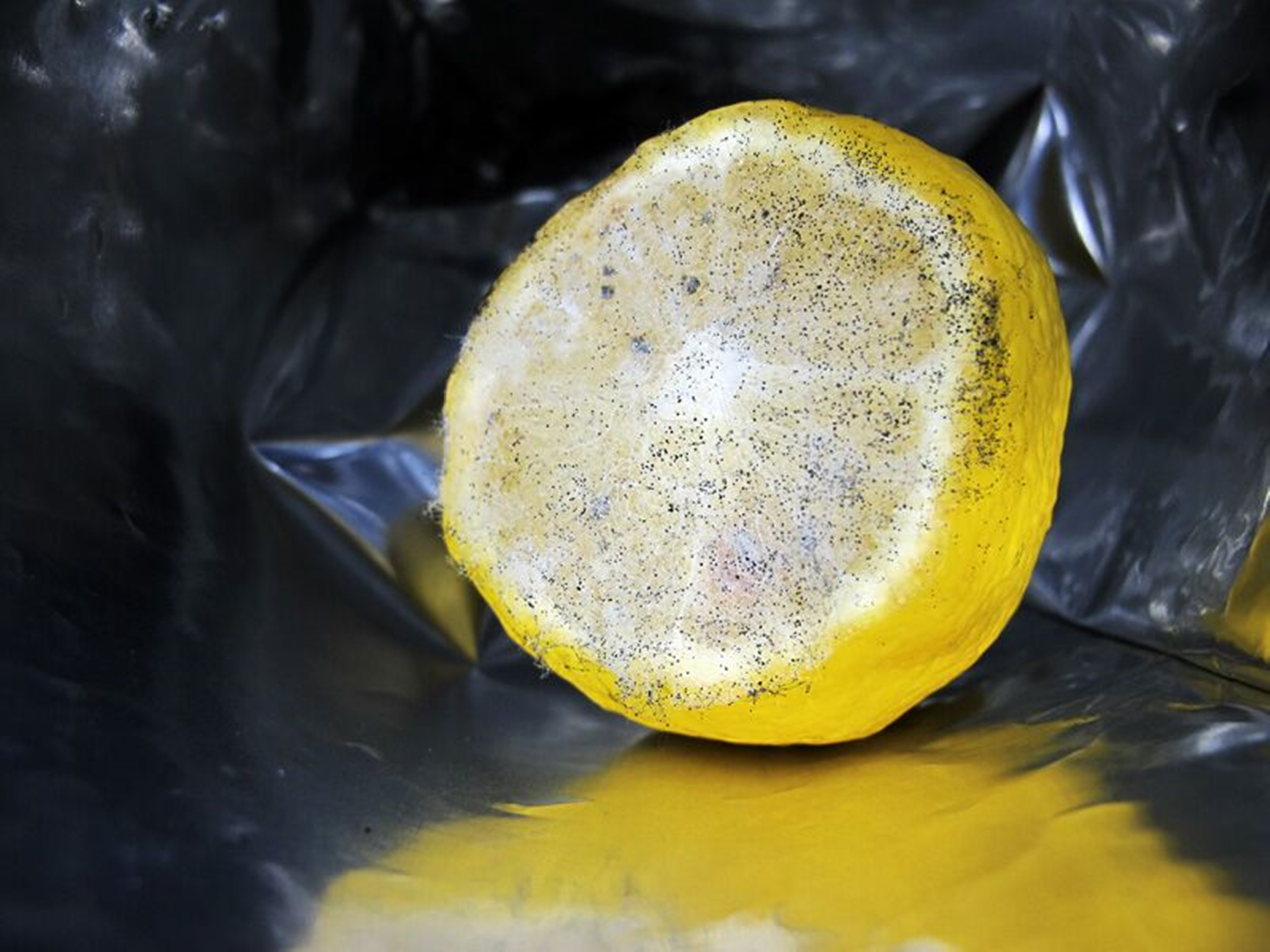 柠檬怎样去除冰箱异味,冰箱异味柠檬