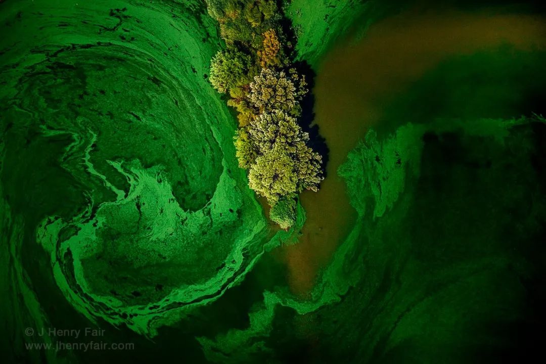 全球变暖导致不利影响照片,全球变暖后的真实视频