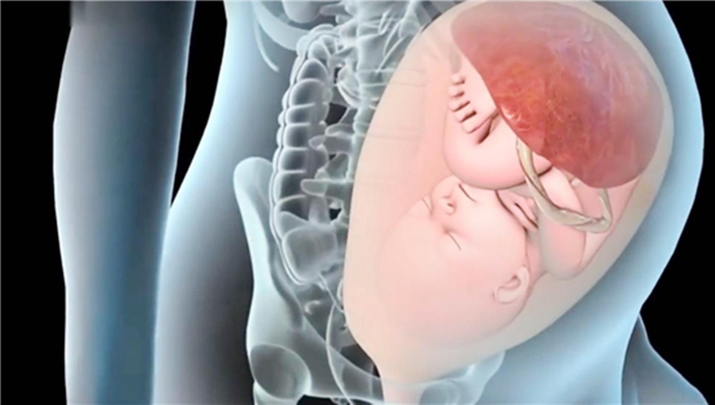 产道那么窄孩子怎么能生得出来呢,胎儿是怎么从狭小的产道出生的