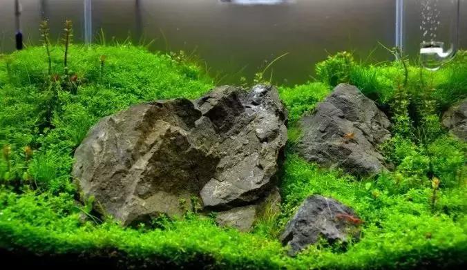 如何打造景观小缸,院子简易水景流水缸制作方法图片