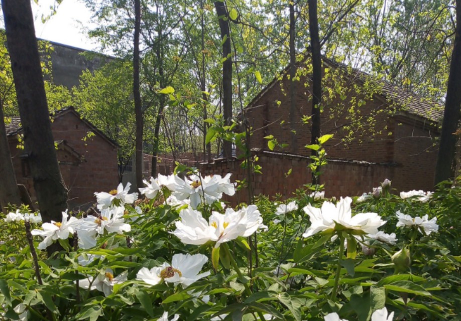 山里的小脚老奶奶视频,山西农村104岁小脚老奶奶