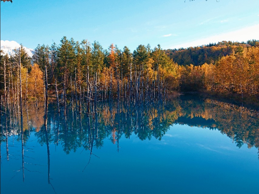 北海道登别到美瑛町需多久,日本北海道美瑛川的雪景