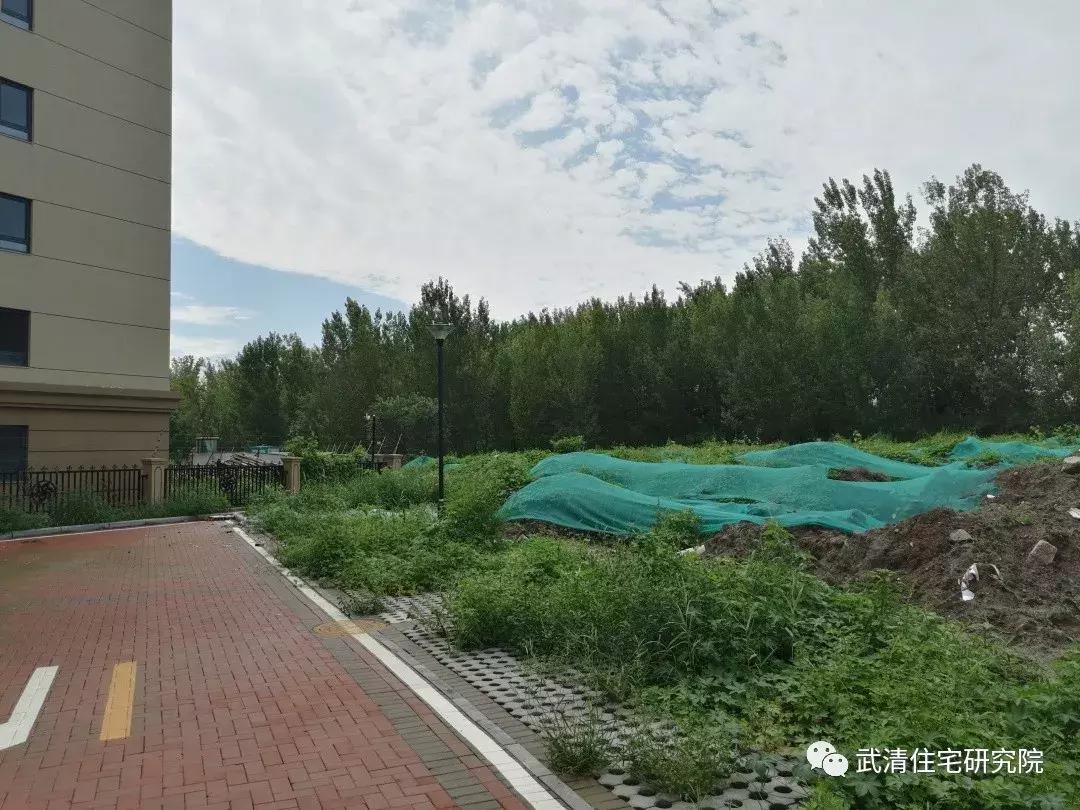 武清龙湾城居住体验,住在武清高村方便吗