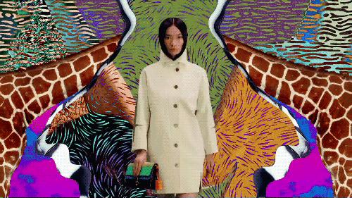 高田贤三叫什么名,高田贤三虎头标图片