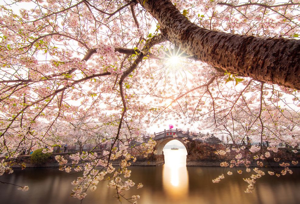 2020旅行时间表,2021年旅行时刻表出炉