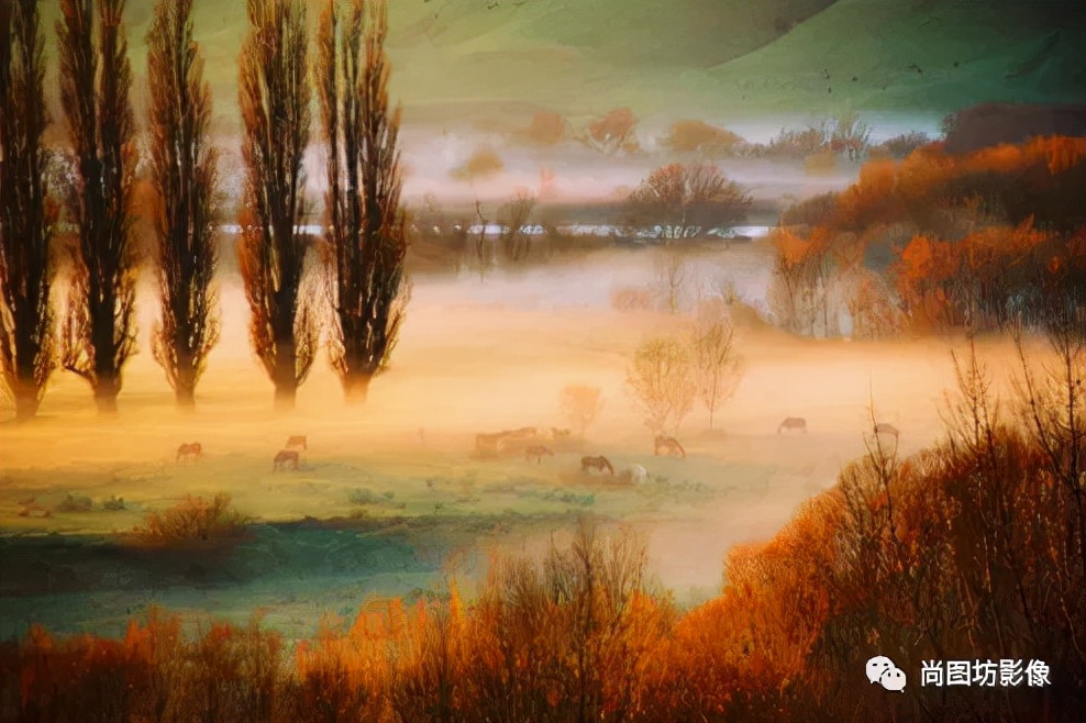 国际摄影展获奖作品,国际摄影获奖作品欣赏第88期