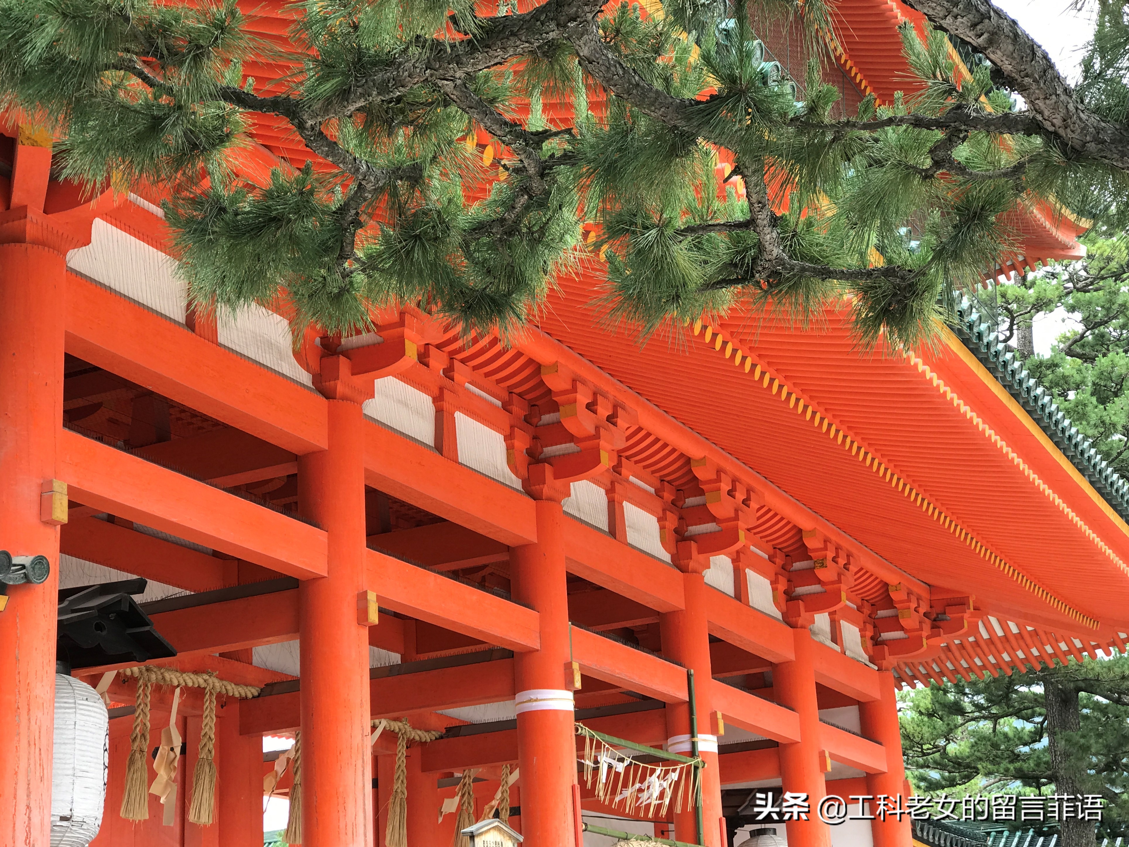 京都之因喜欢这神社的名字就在此卜了一签,却不认字