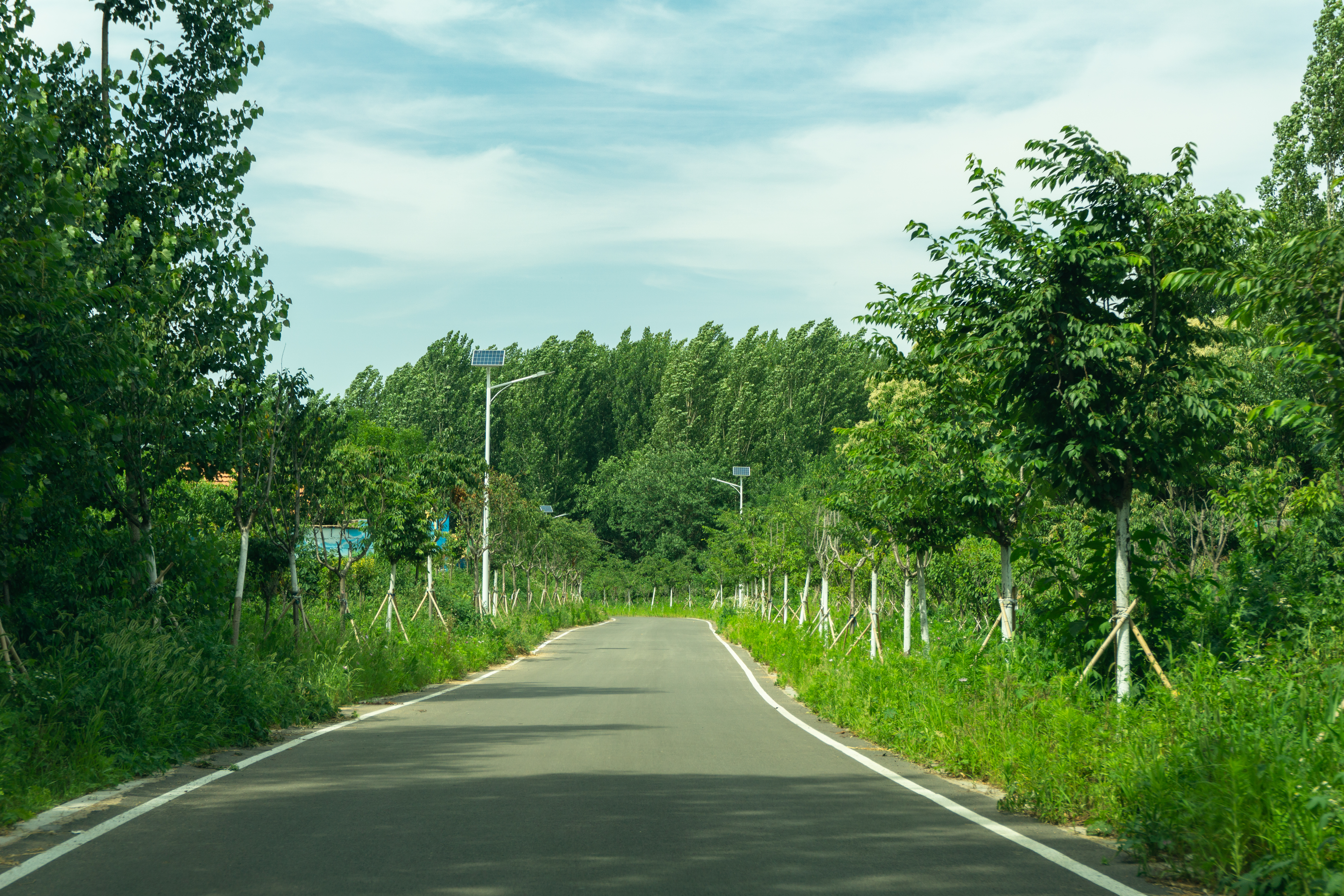 诸城人文地理,山东诸城有什么名胜