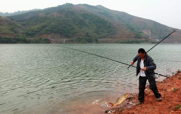 用玉米粒饵，总跑鱼？如果你没忽视这3点，那就偷着乐吧
