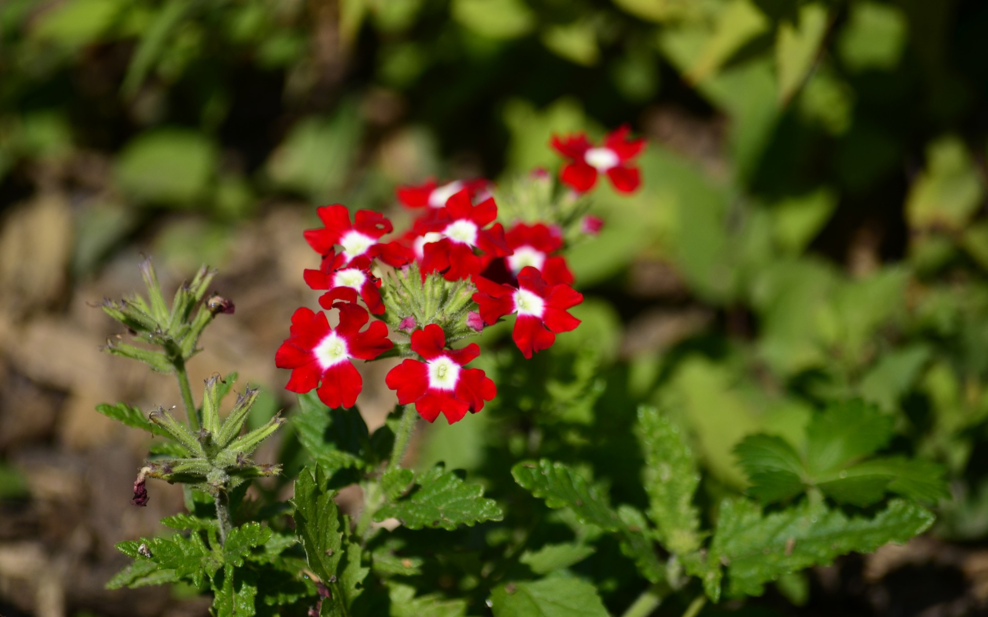 古诗必背成语,40个出自古诗词名句里的成语