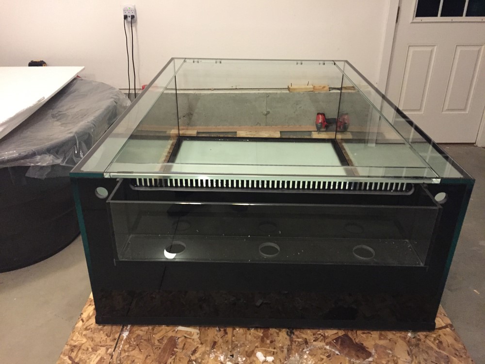 经典海水礁岩生态缸分享，180×120×60厘米三面观赏海缸