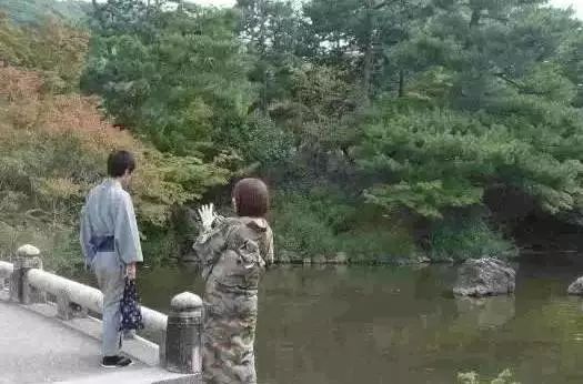 日本古玩市场视频,日本古董市场攻略