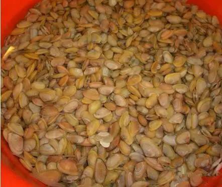 中国海鲜河鲜,市场河鲜海鲜种类大全