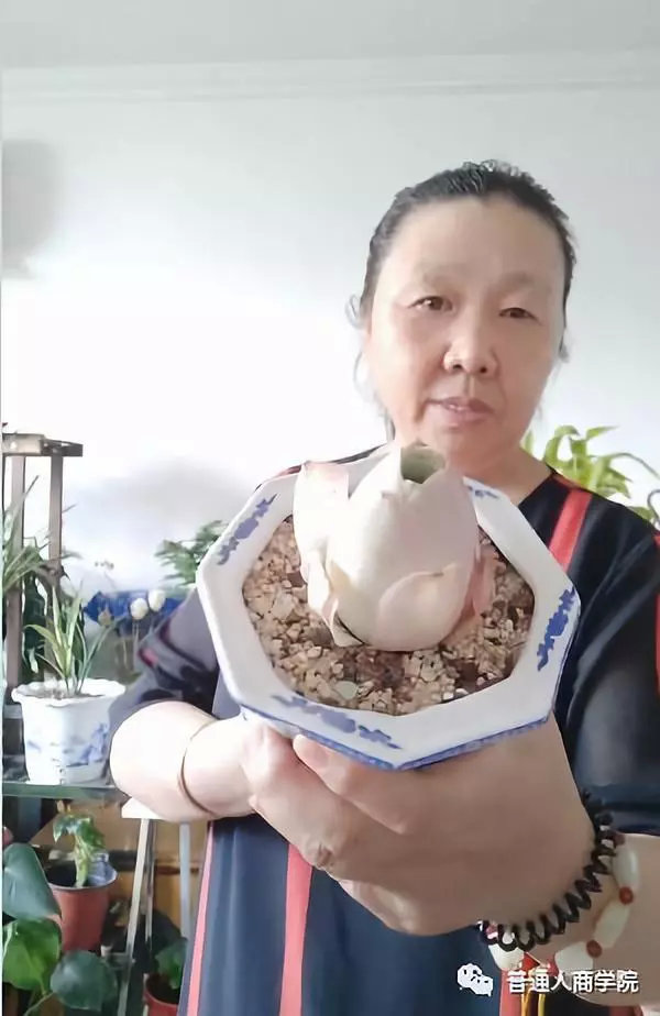 快手养花怎么赚钱啊,快手怎么养花赚钱