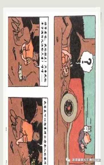 丁丁和丁丁历险记论文,丁丁历险记丁丁的服装