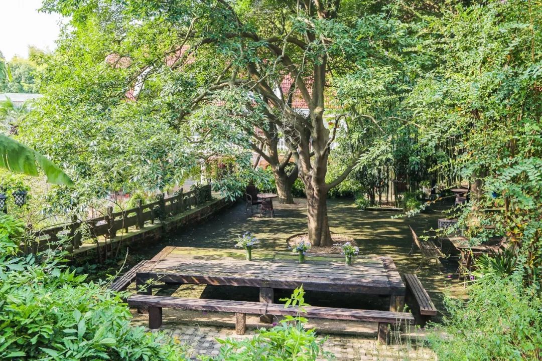 一个安徽爷爷，花1万块种出5000㎡私家花园，被评为中国最美