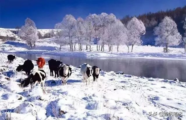 冬季情侣旅行地方推荐,情侣冬天适合去哪旅游