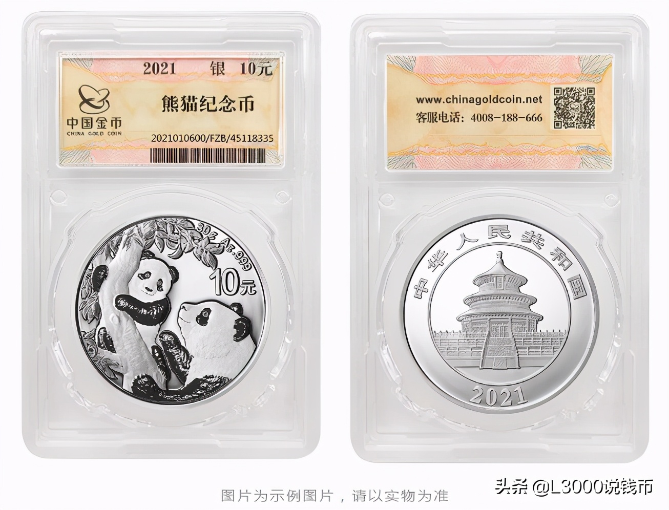 「金总云商」2021年让我们继续收集熊猫宝宝的幸福瞬间