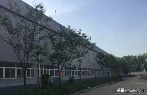 山东莘县最富是哪个镇,山东最富的镇排名