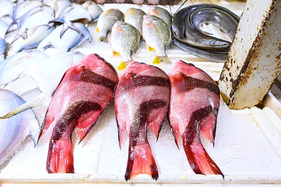 北京南城最大的早市在哪里,北京大兴早市哪个最好