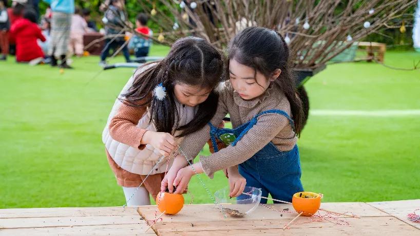 用低成本打造高颜值农场,广东夫妇超省钱