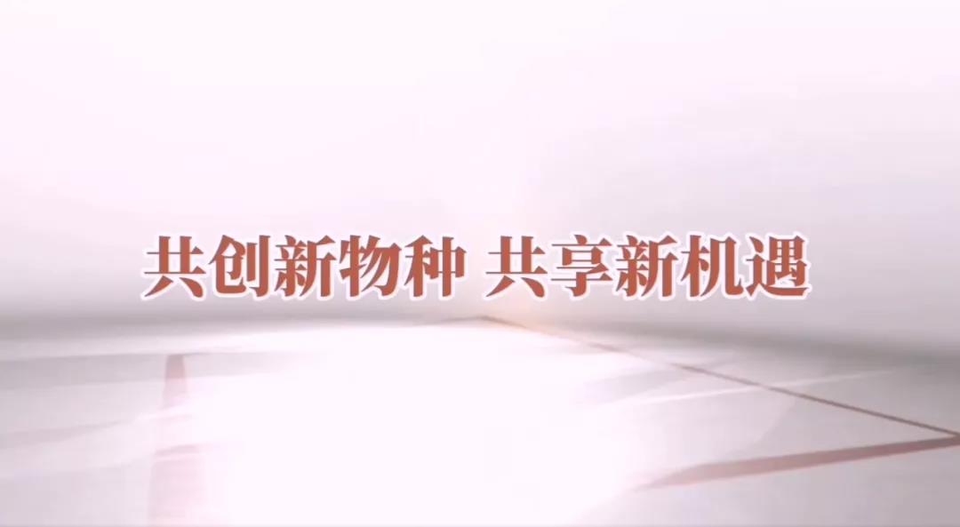 高宏彬阳谷,高洪斌书法家简介