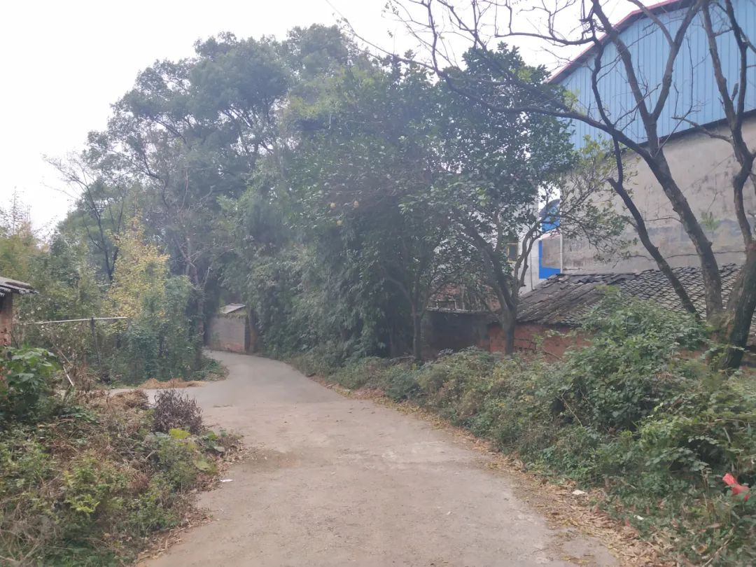 明朝大移民广西哪一县,明朝时期广西各地的名称