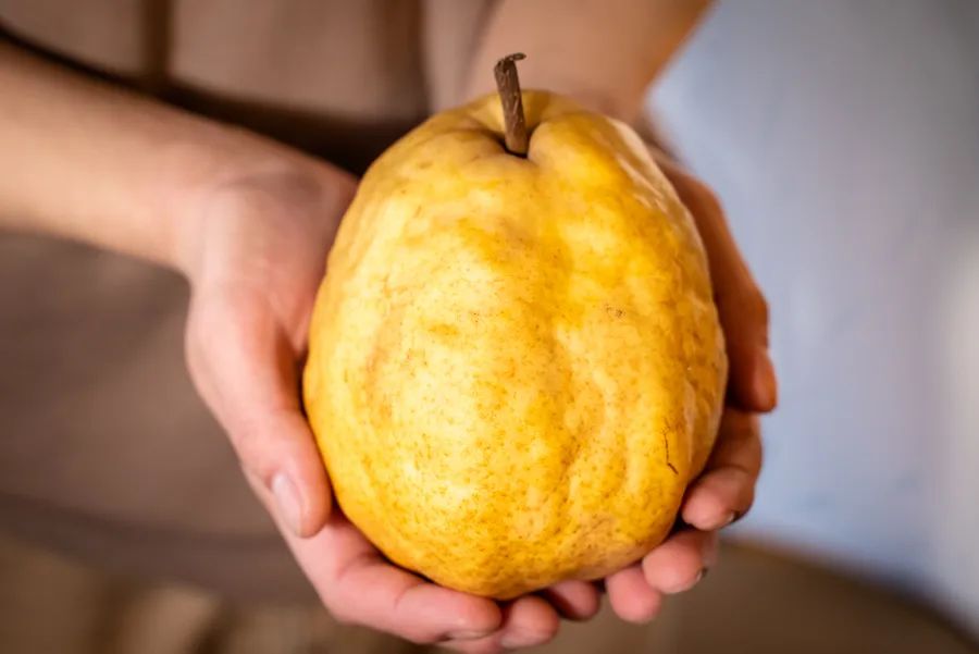 10种你想不到的水果,8种你从未听说过的最独特的水果