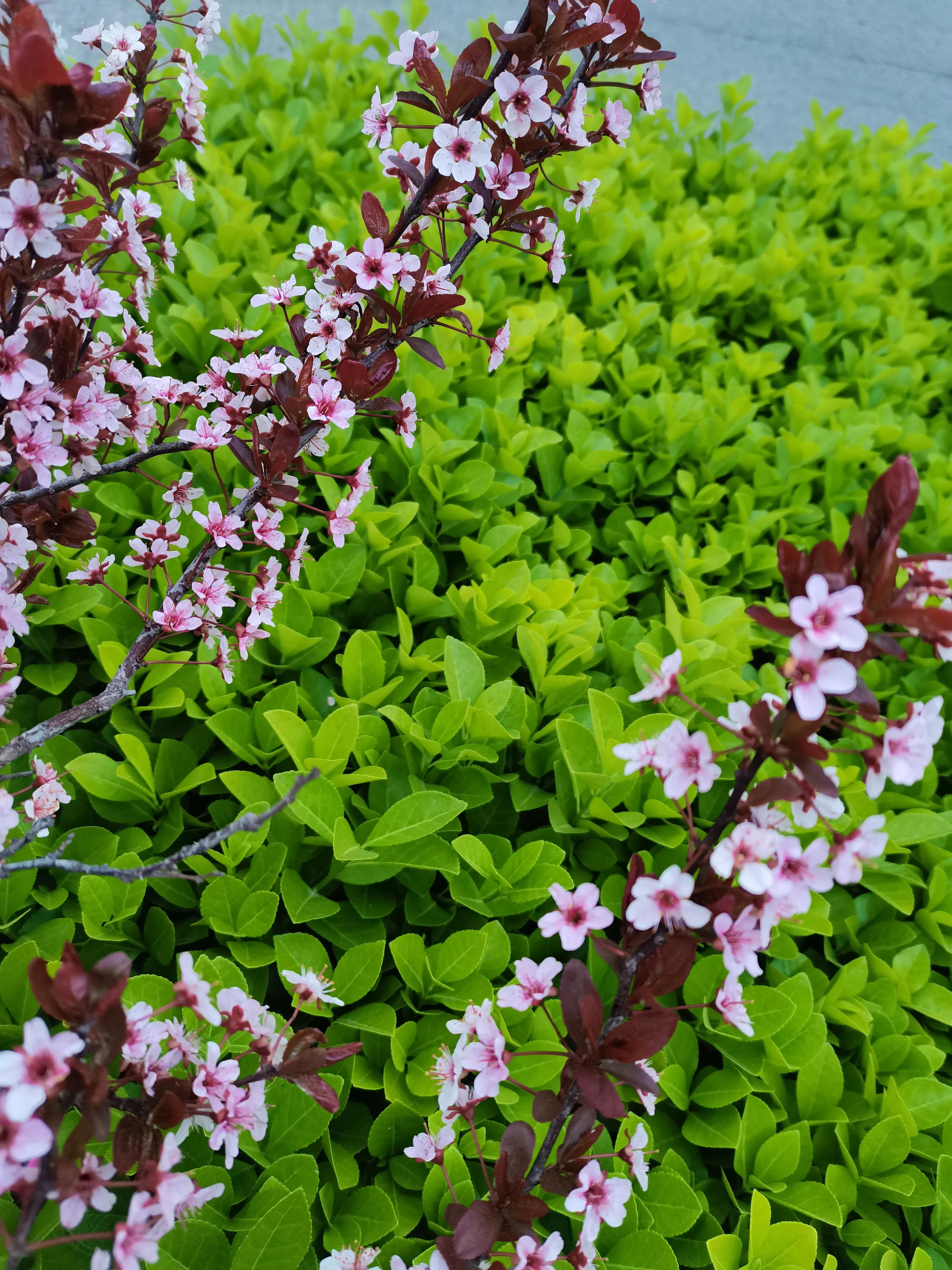 不要放弃农村的宅基地,不要放弃自己的农村宅基地