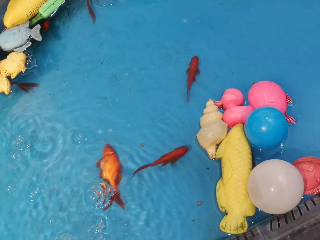 重庆主城遛娃商场,成都城南遛娃免费