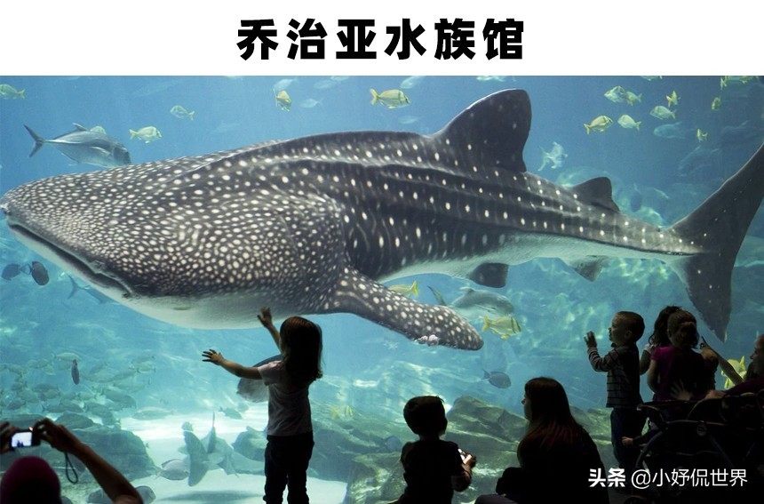 全球最大的三个大型水族馆,世界最著名的淡水水族馆
