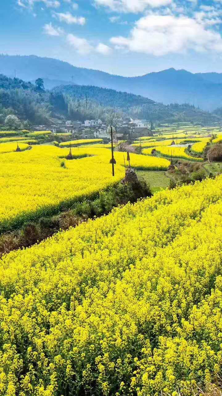 南召石为璧图片,石为璧讲南召视频