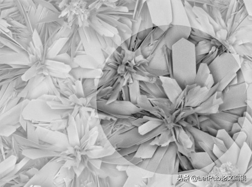 小说封面设计入门教程,怎么让自己的文章变成动画