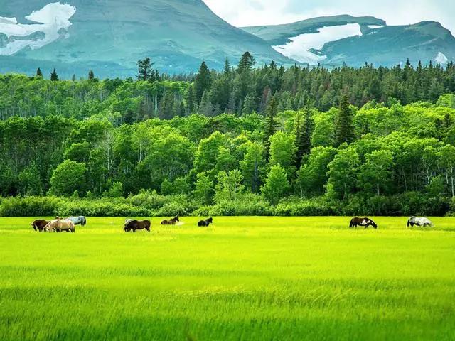 大兴安岭呼伦贝尔自驾攻略 (大兴安岭到呼伦贝尔大草原气候)